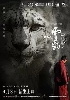 雪豹（2024金巴）