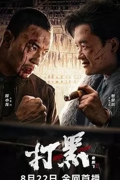 打黑（2024包贝尔）