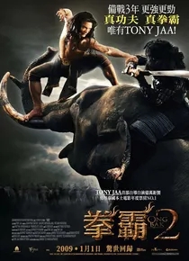 拳霸：盗佛线2（托尼贾）